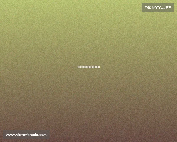 中国女排赛事讲解中国女排的赛事